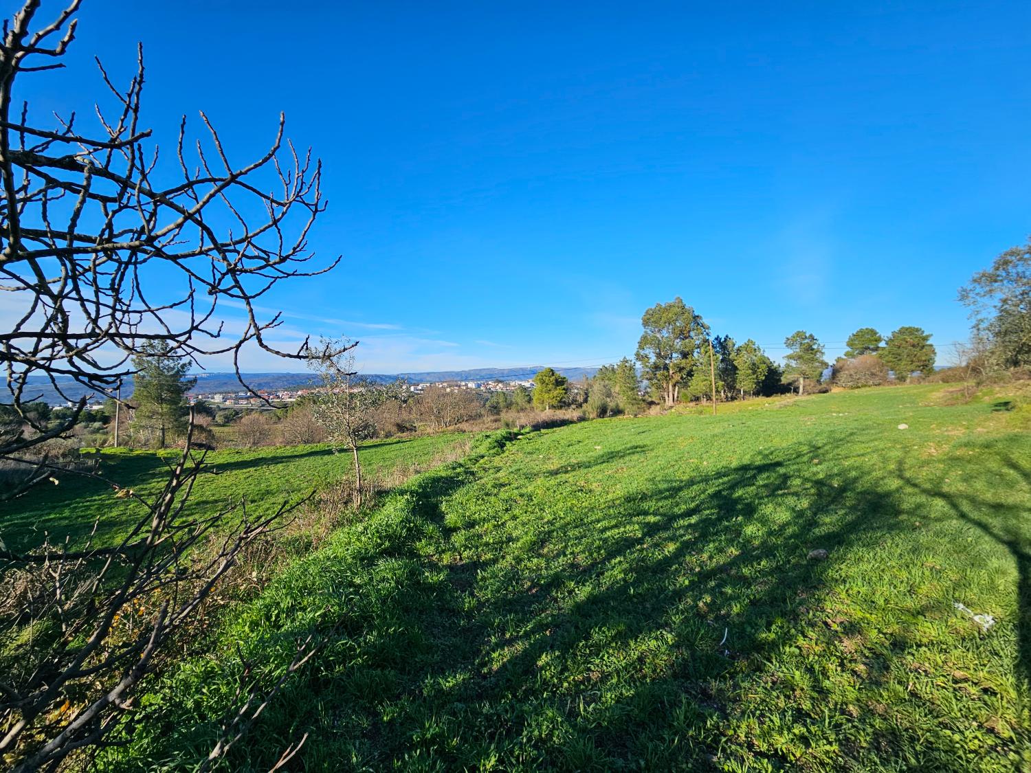  à venda quinta Aldeia da Serra Celorico Da Beira 4