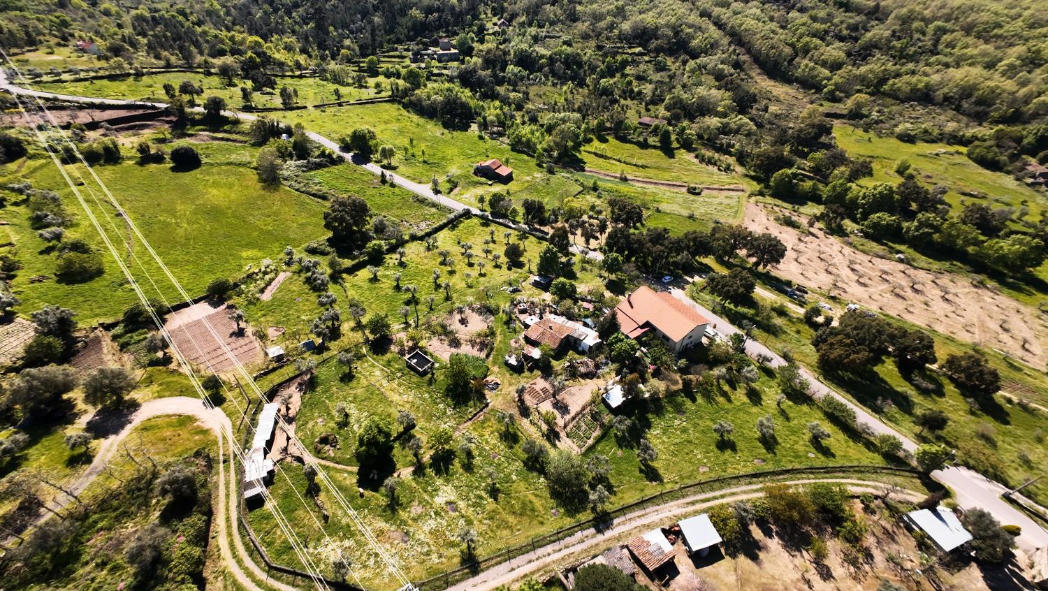 à venda quinta Celorico da Beira Celorico Da Beira 2