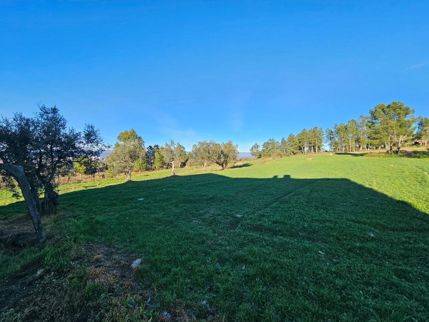  à venda quinta Aldeia da Serra Celorico Da Beira 5