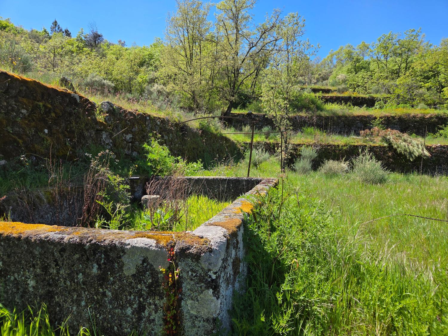  à venda quinta Lajeosa do Mondego Celorico Da Beira 11