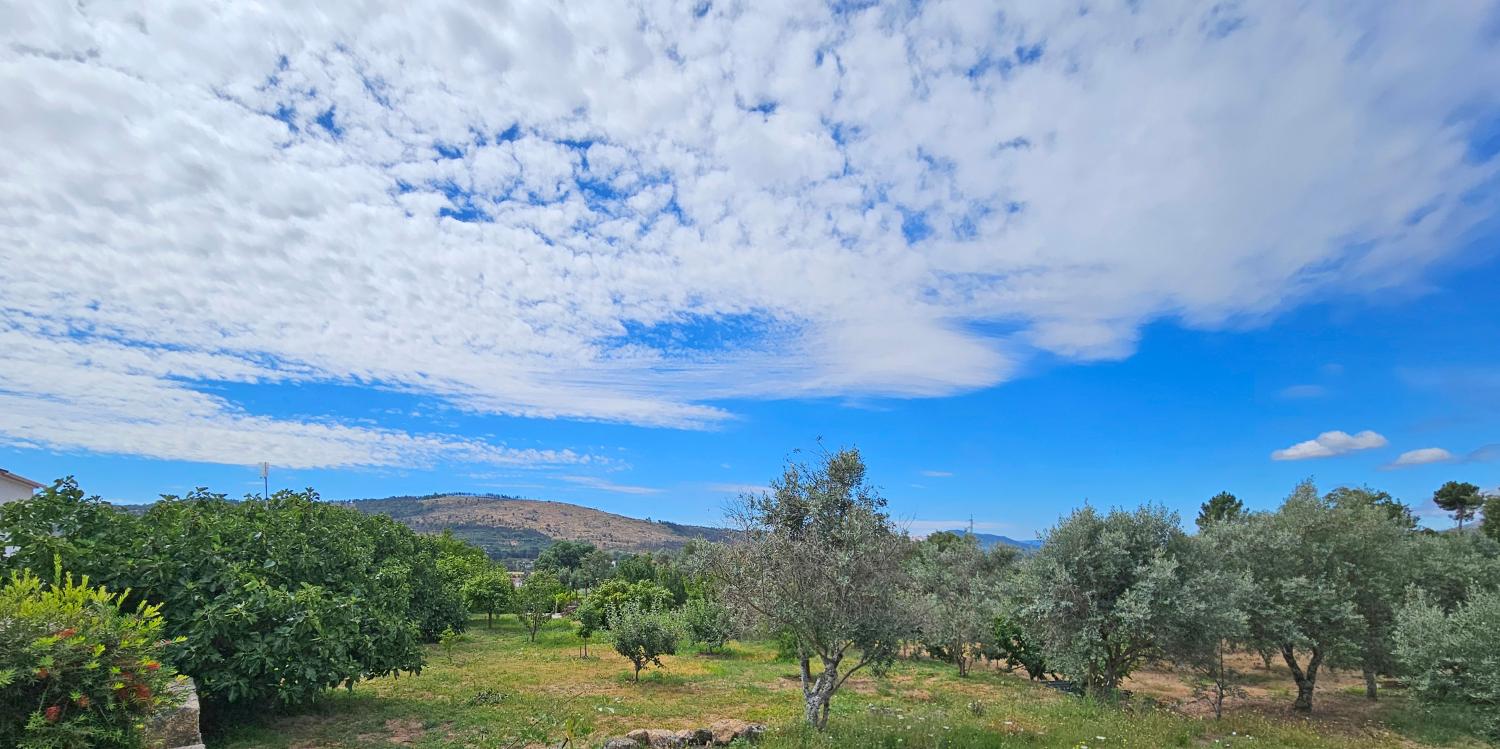  à venda casa Gonçalo Guarda 12