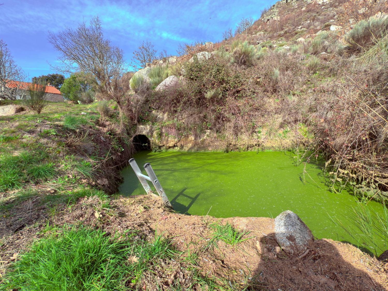  à venda quinta Pousafoles do Bispo Sabugal 36
