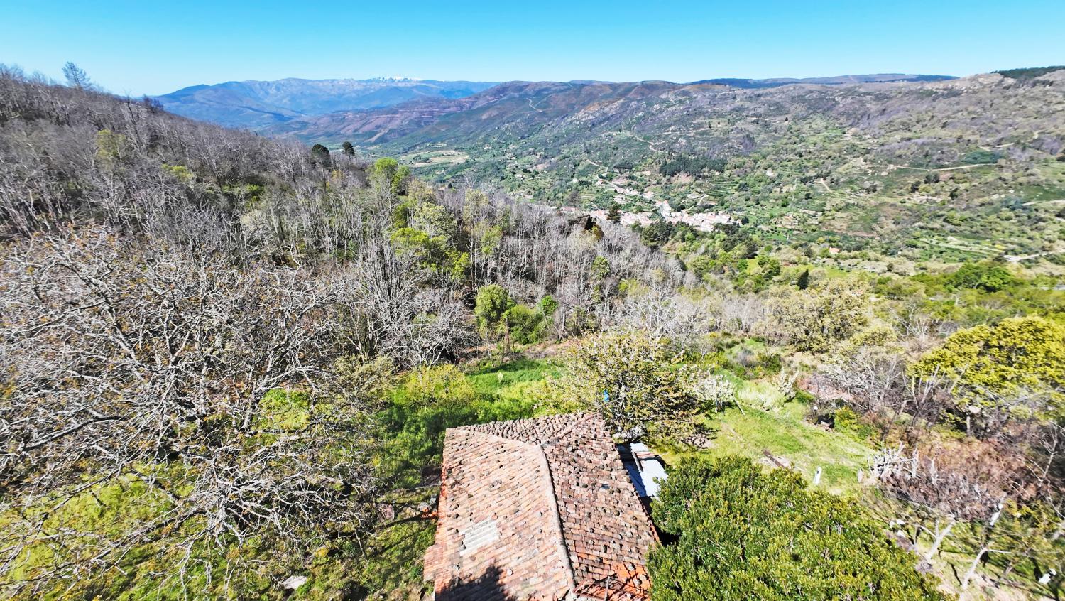  à venda quinta Famalicão Guarda 9