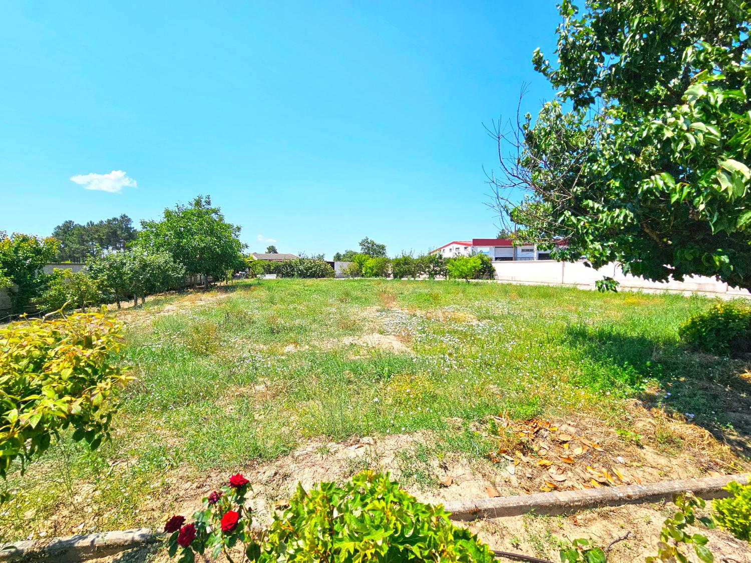  à venda casa isolada Souro Pires Pinhel 14