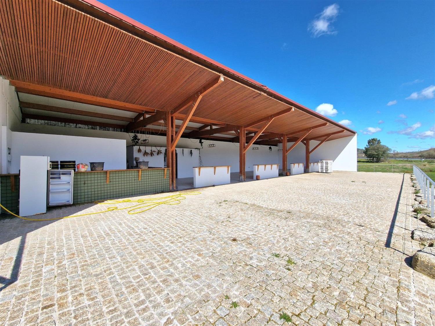  à venda propriedade Celorico da Beira Celorico Da Beira 15