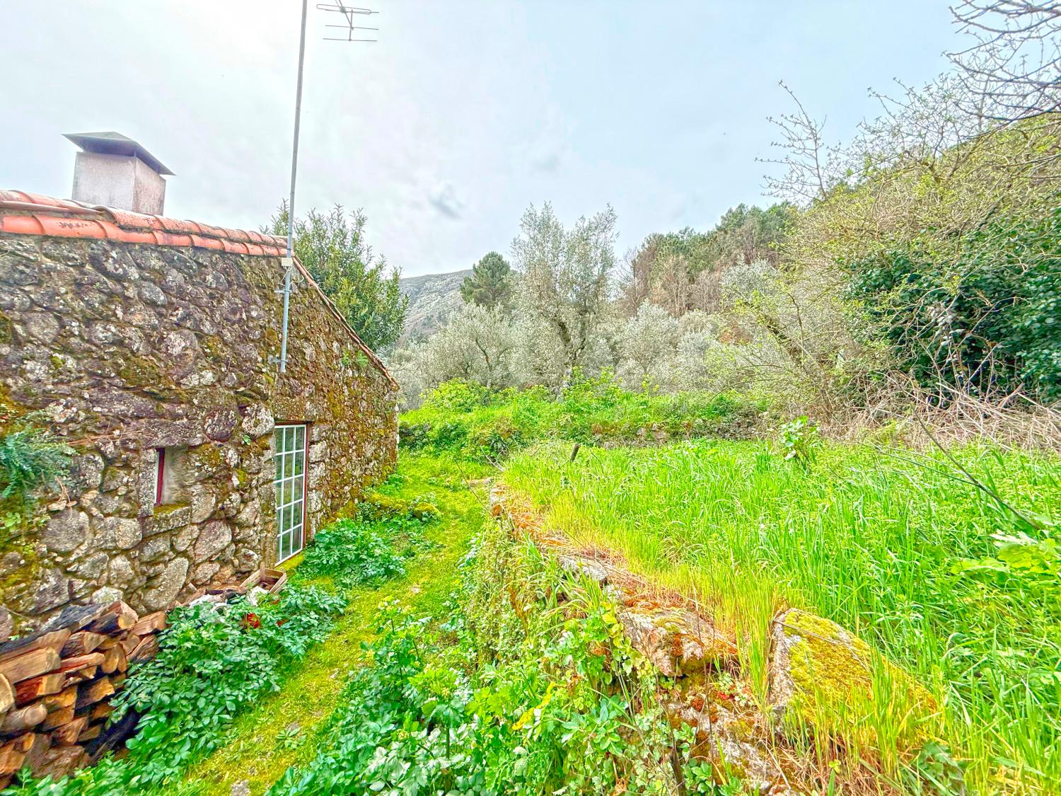  à venda casa Vila Soeiro Guarda 5