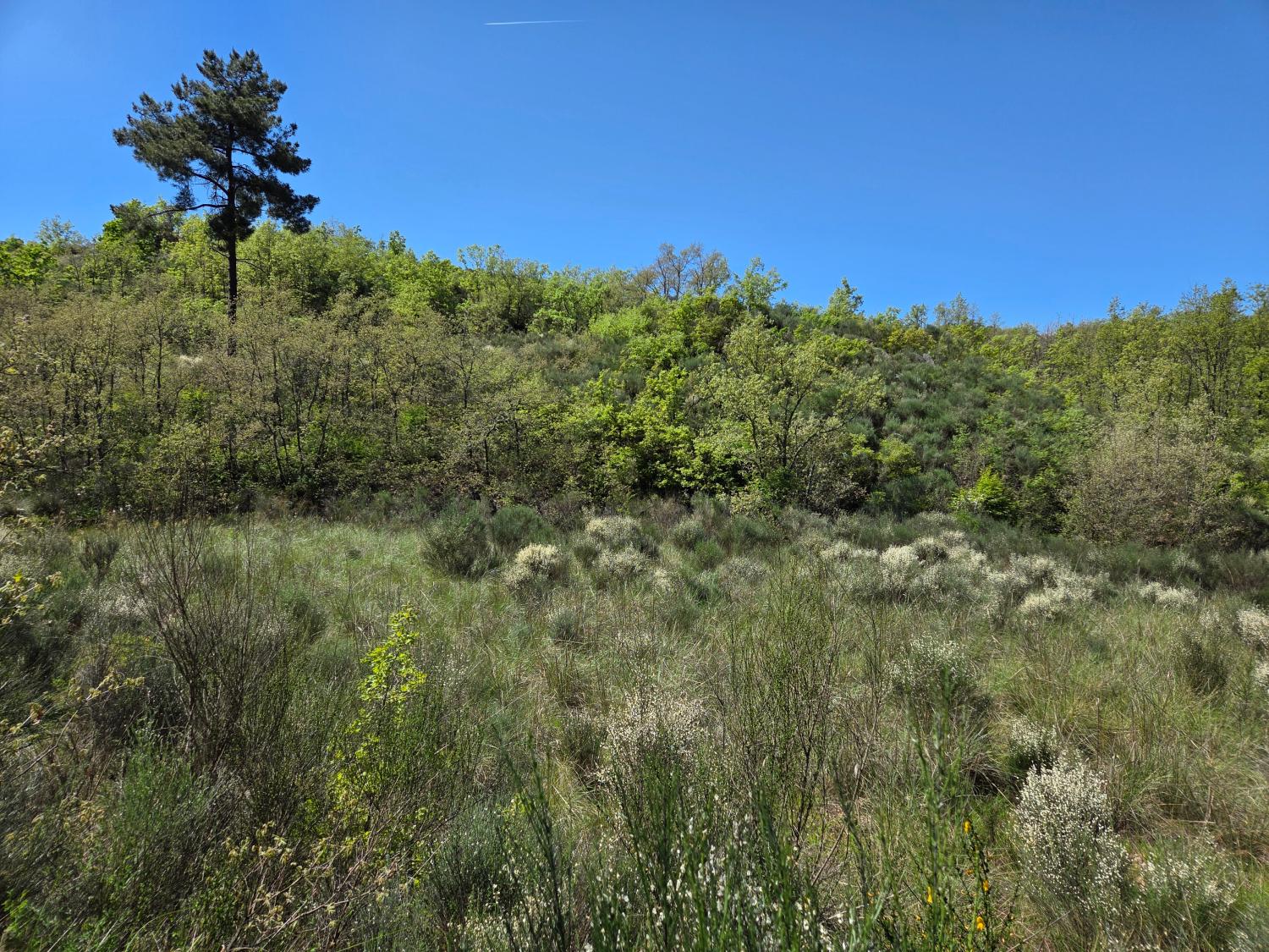  à venda quinta Lajeosa do Mondego Celorico Da Beira 7