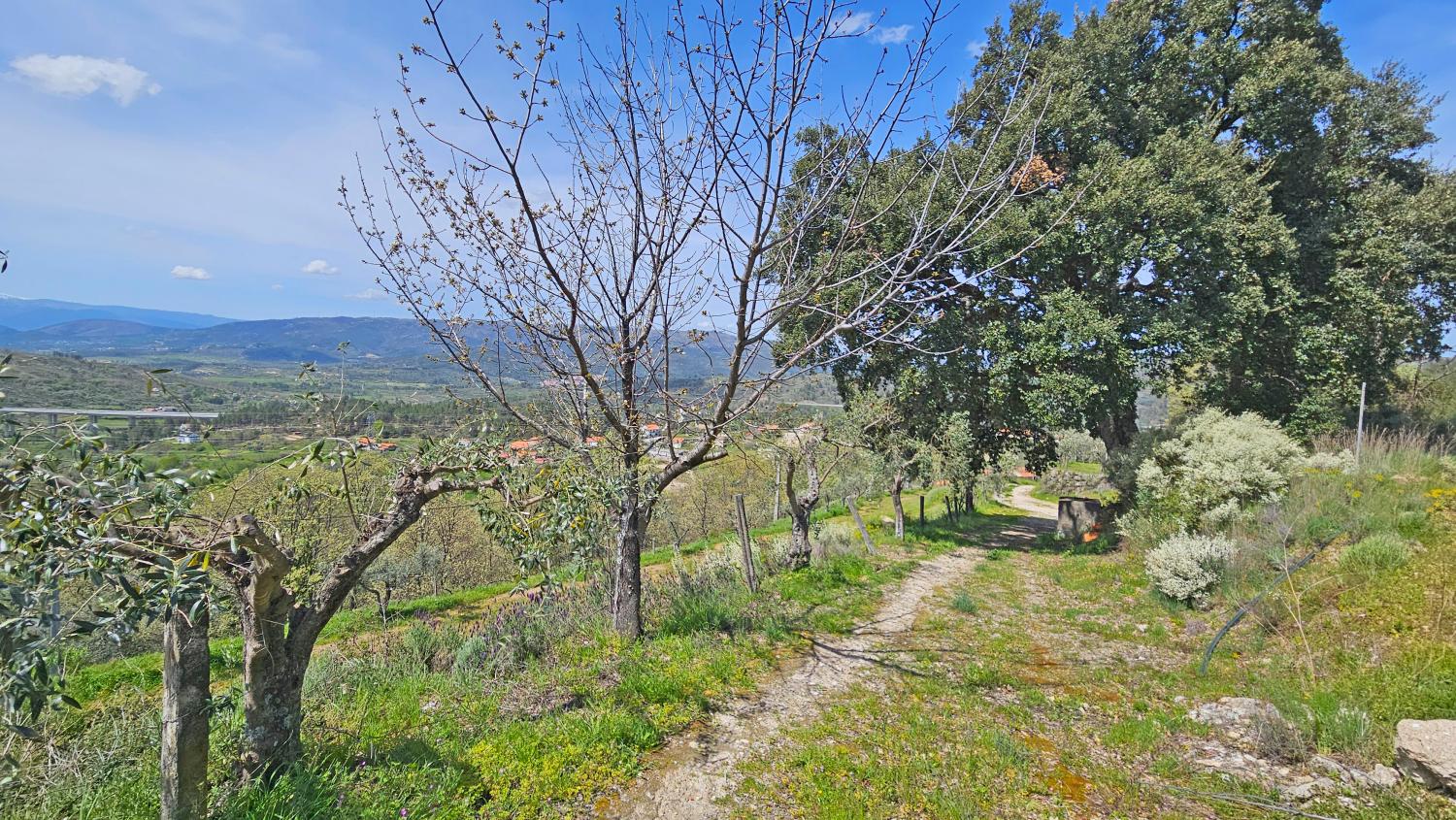  à venda casa Benespera Guarda 8
