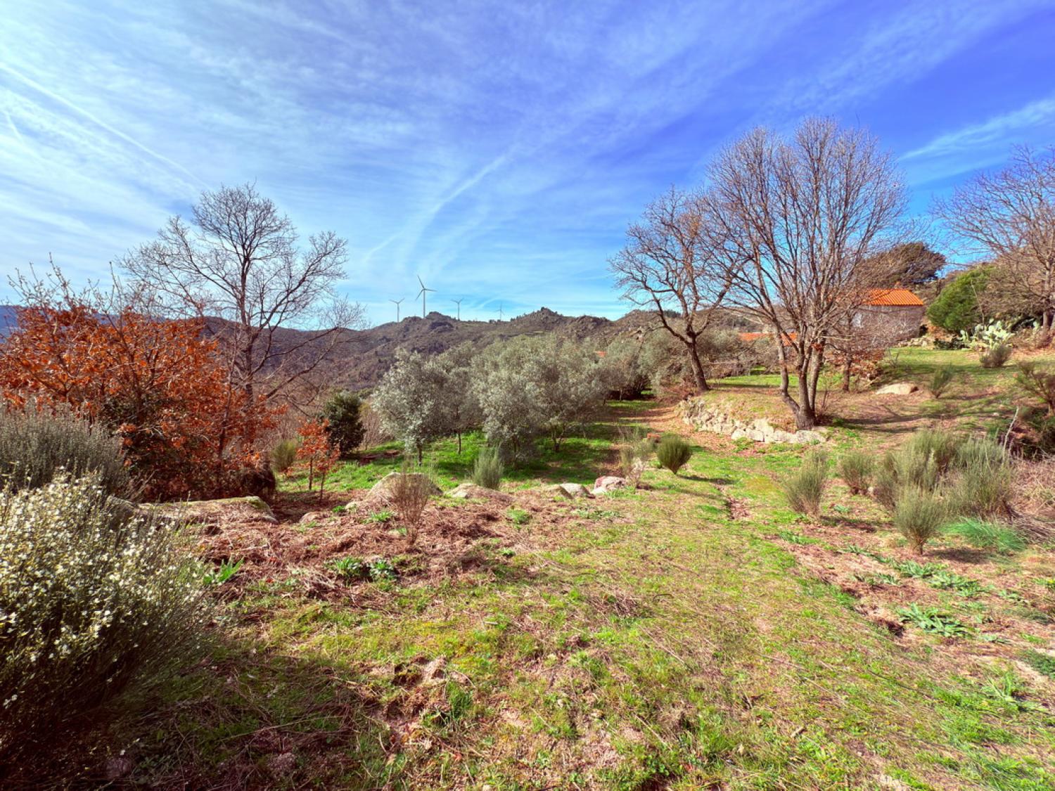  à venda quinta Pousafoles do Bispo Sabugal 37