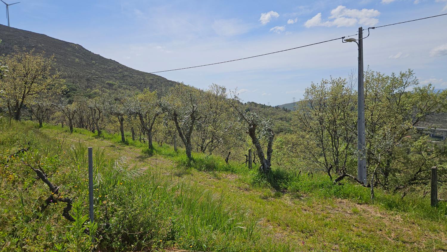  à venda casa Benespera Guarda 5