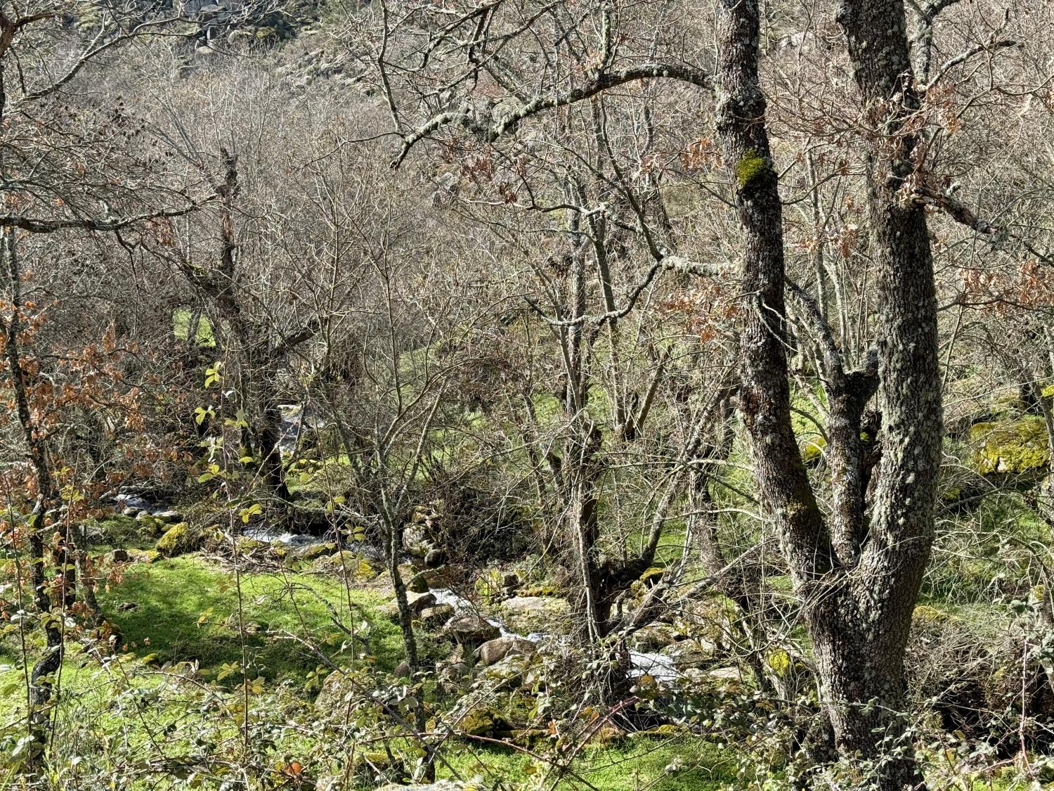  à venda quinta Pousafoles do Bispo Sabugal 30
