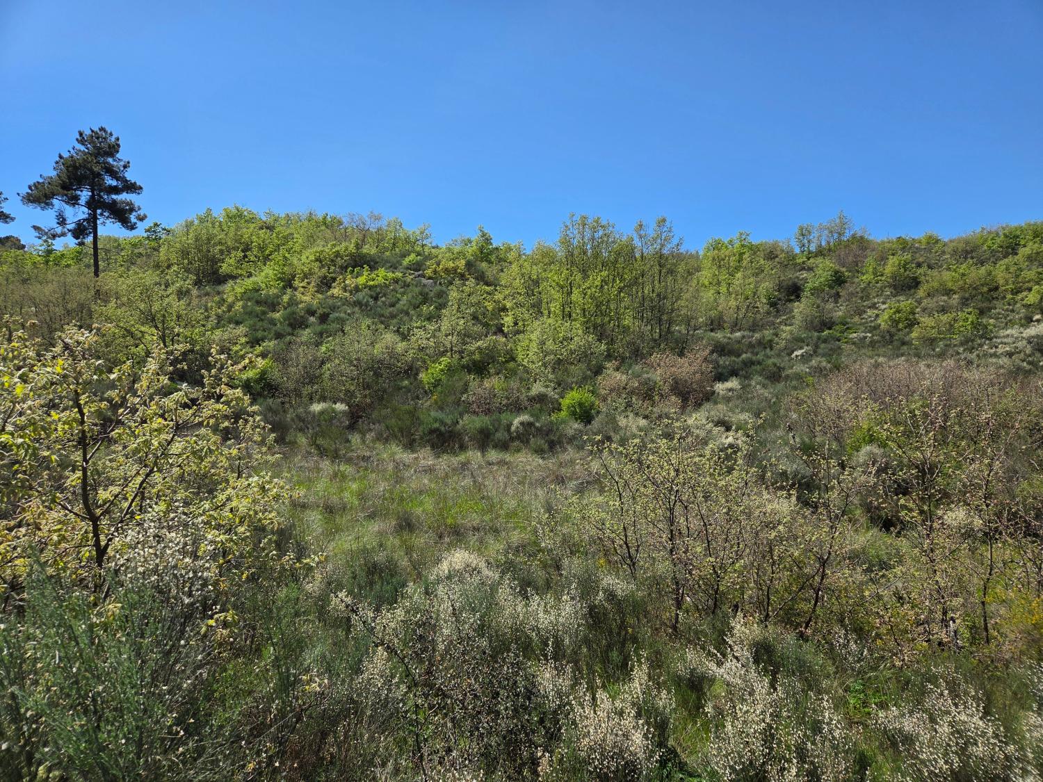  à venda quinta Lajeosa do Mondego Celorico Da Beira 5