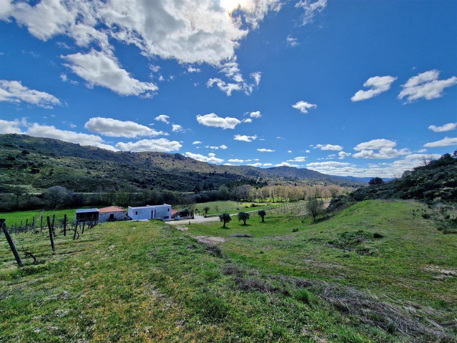  à venda propriedade Celorico da Beira Celorico Da Beira 18