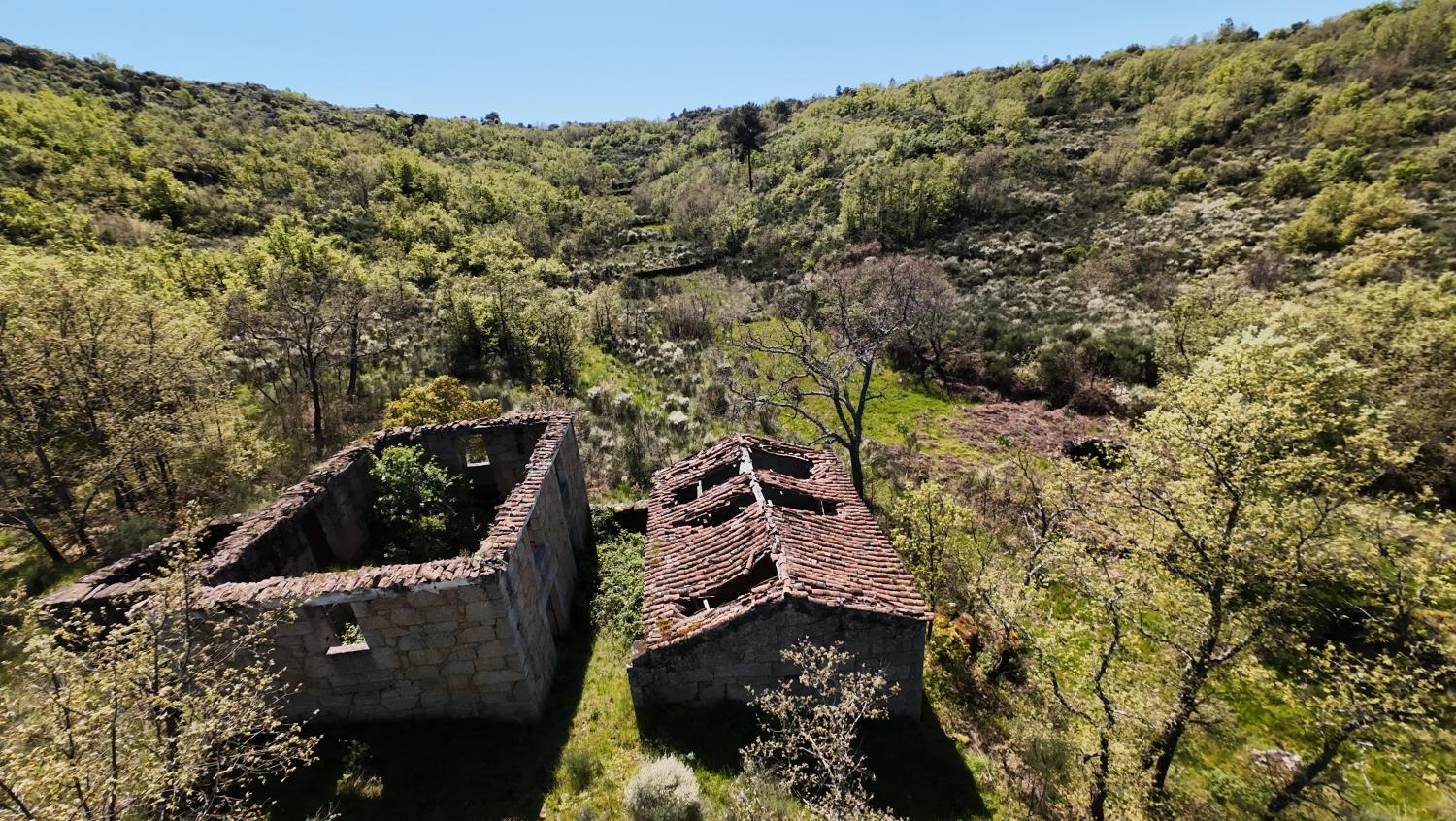 à venda quinta Lajeosa do Mondego Celorico Da Beira 2
