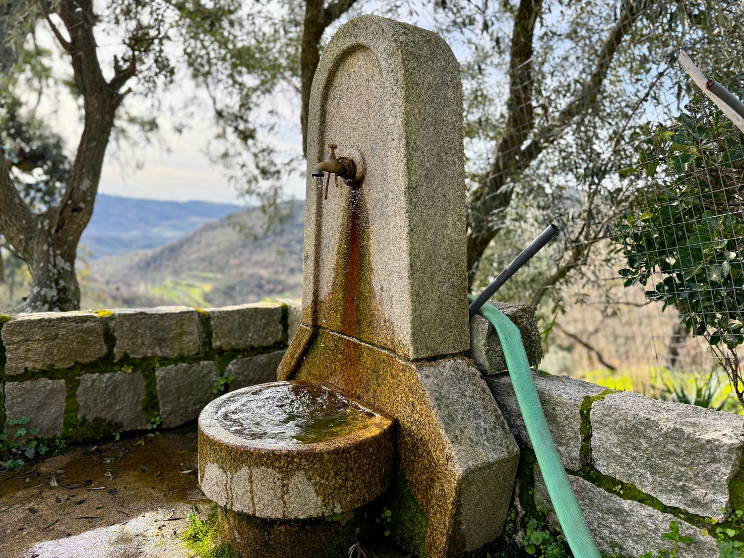  à venda quinta Pousafoles do Bispo Sabugal 14