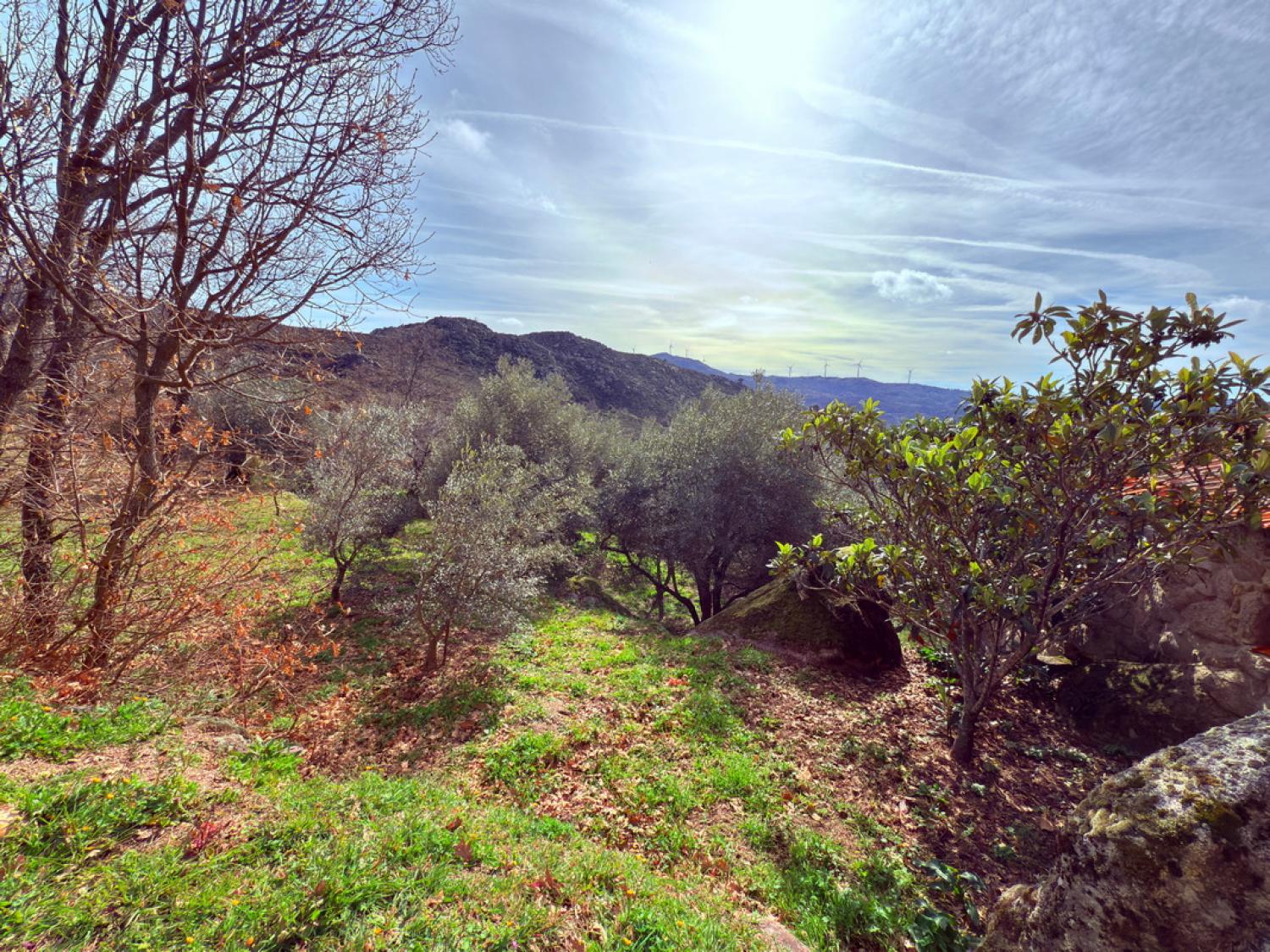  à venda quinta Pousafoles do Bispo Sabugal 31