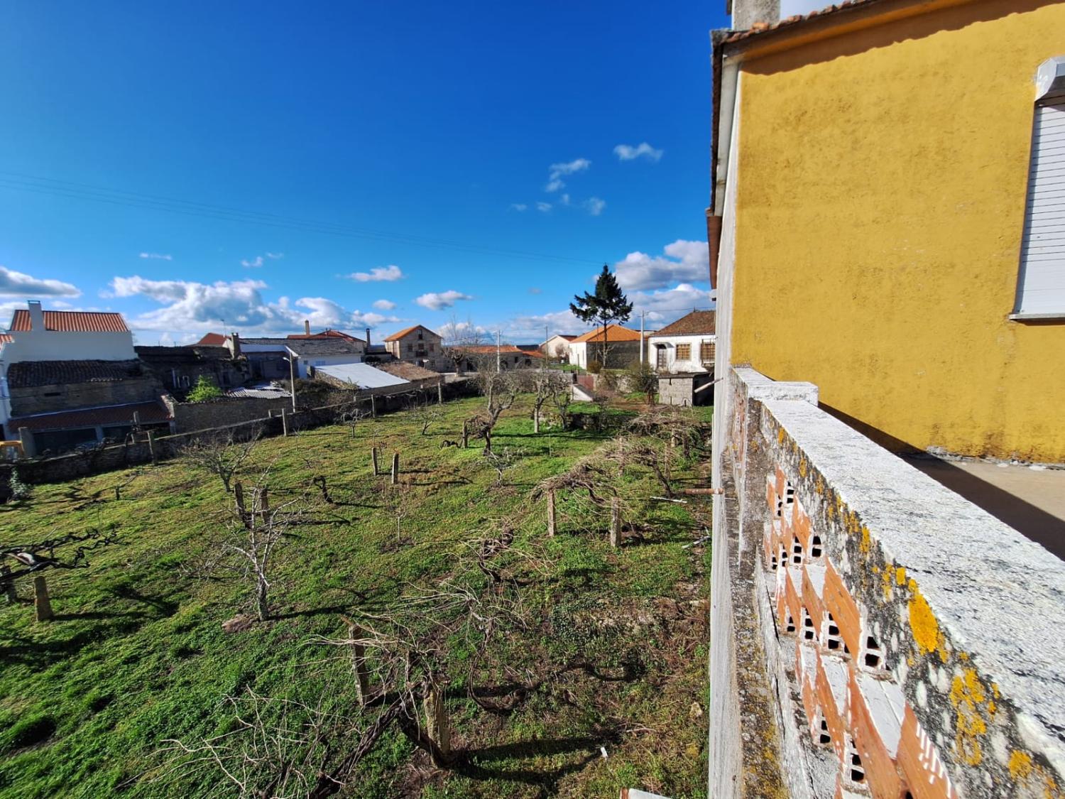  à venda casa isolada Pai Penela Mêda 8