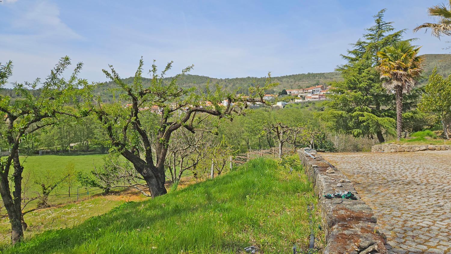  à venda quinta Vela Guarda 8