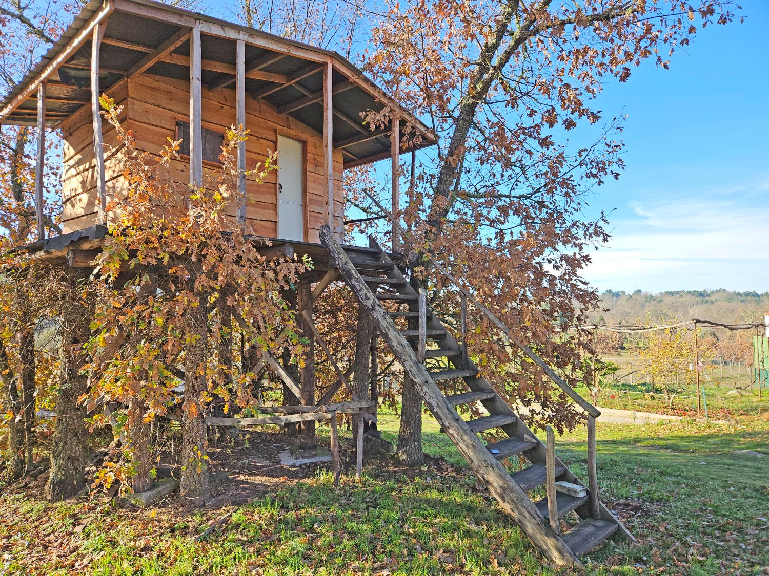  à venda casa isolada Casal de Cinza Guarda 6