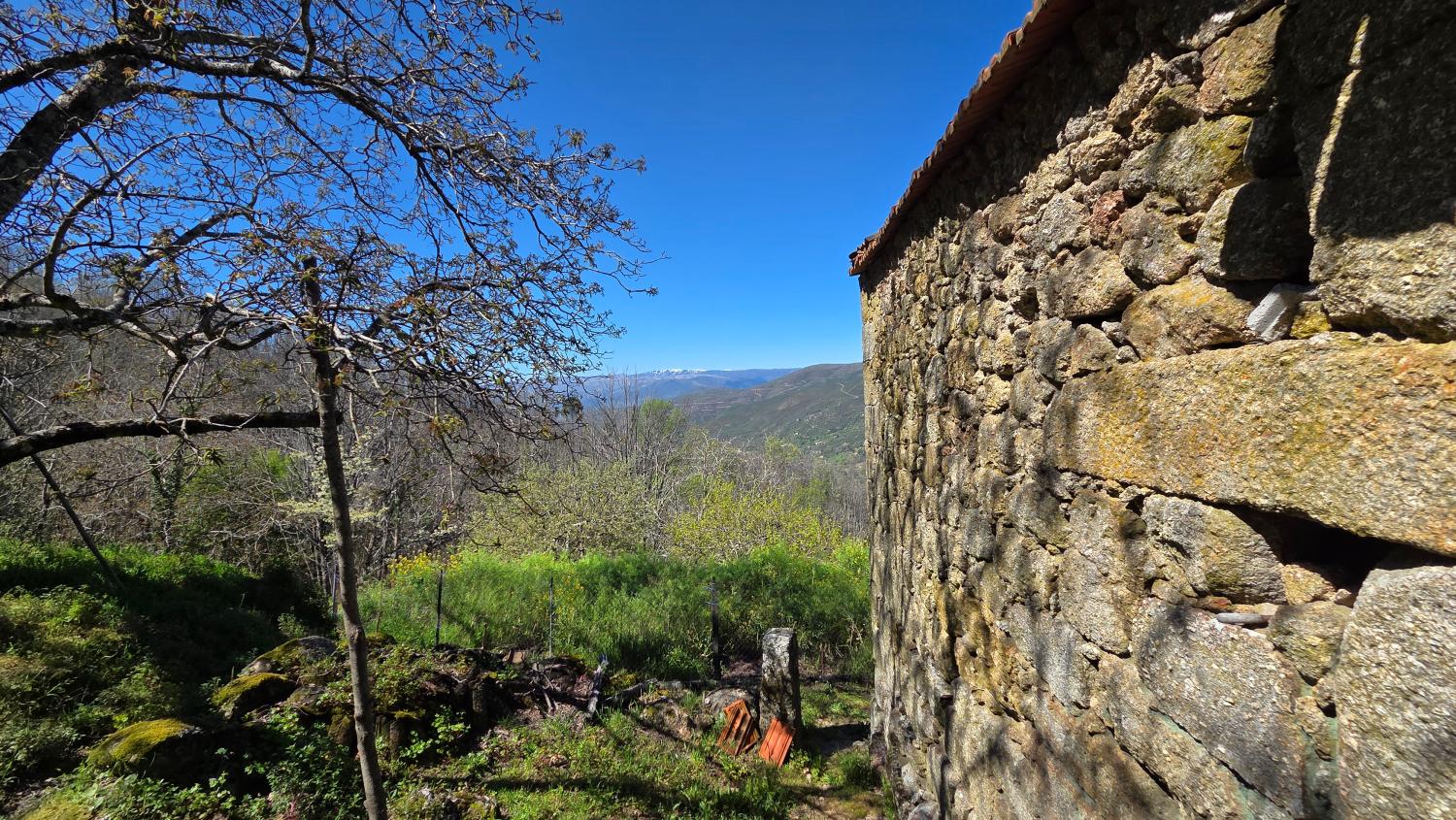  à venda quinta Famalicão Guarda 2