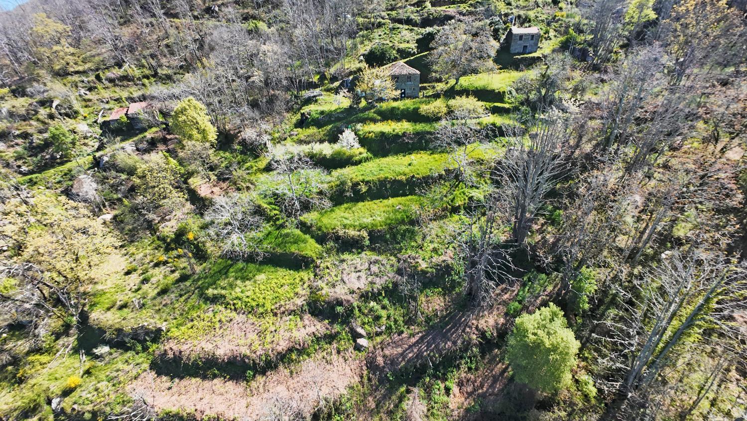  à venda quinta Famalicão Guarda 8