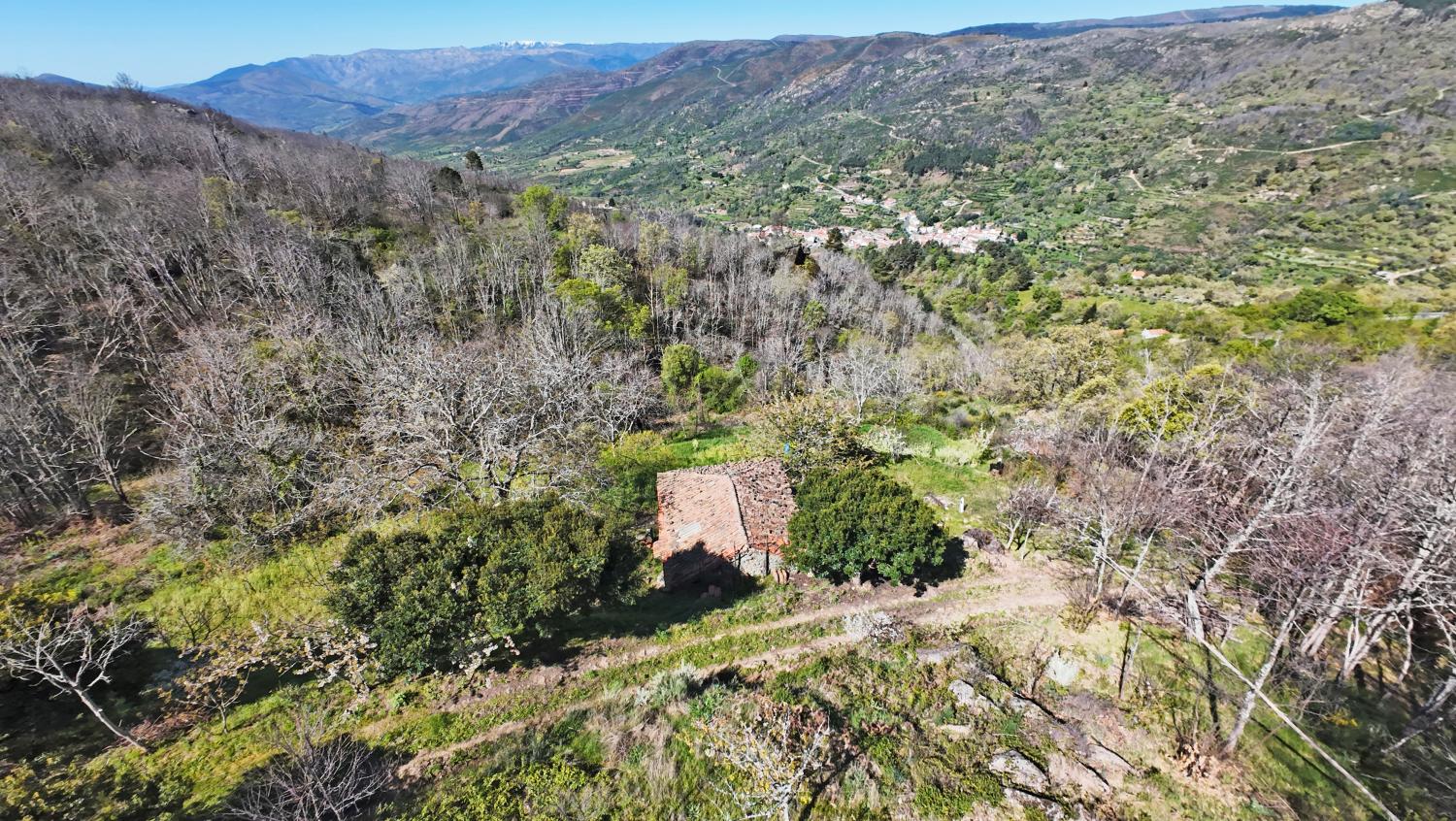  à venda quinta Famalicão Guarda 7
