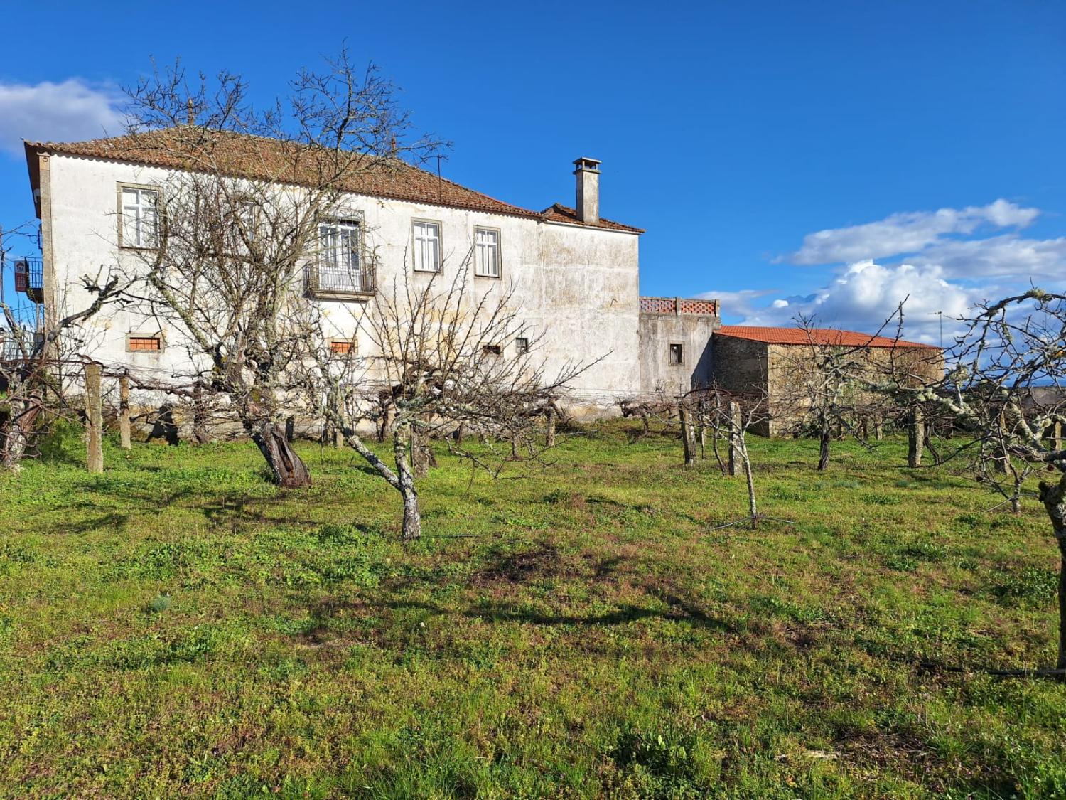  à venda casa isolada Pai Penela Mêda 1
