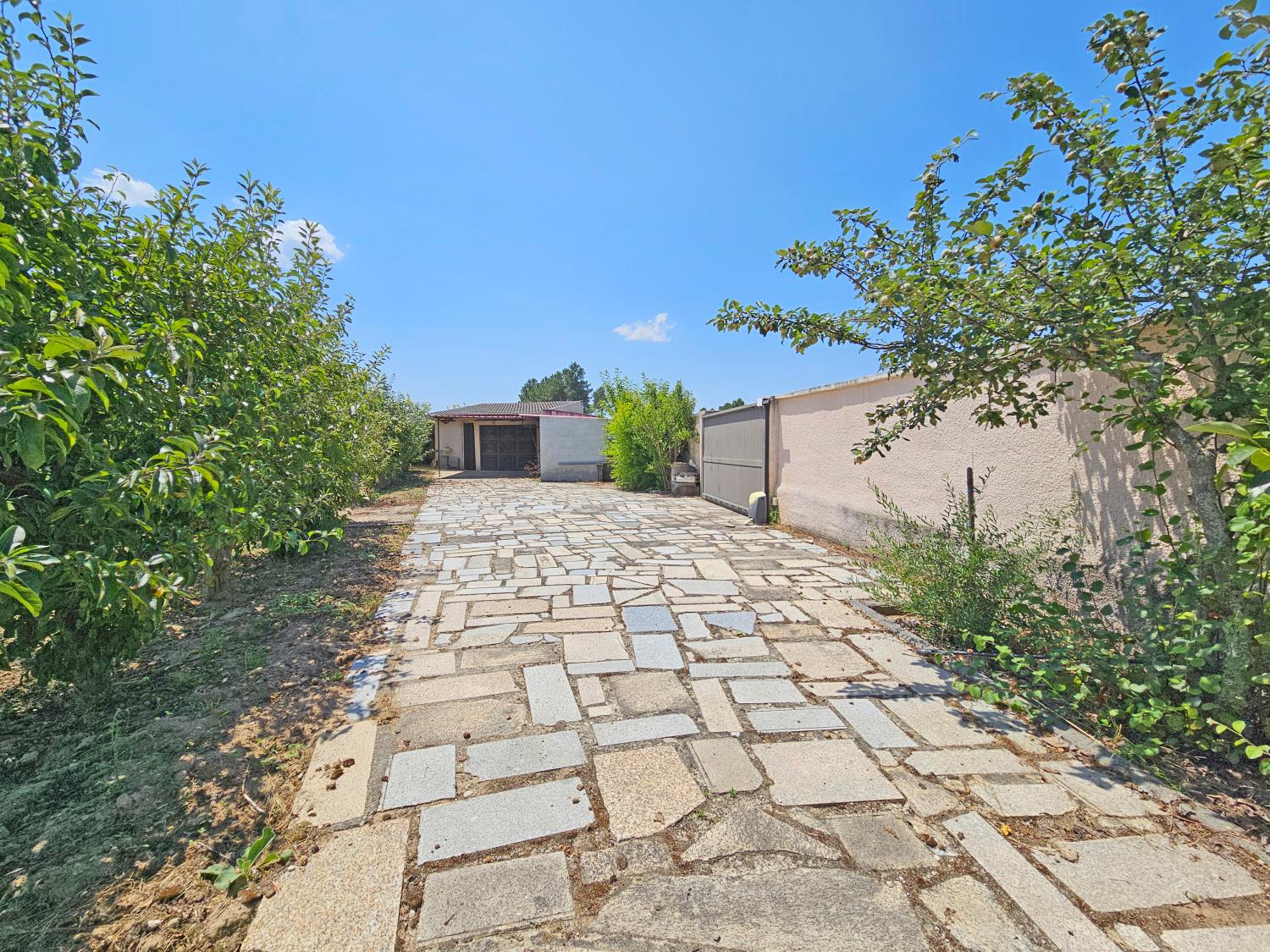  à venda casa isolada Souro Pires Pinhel 13