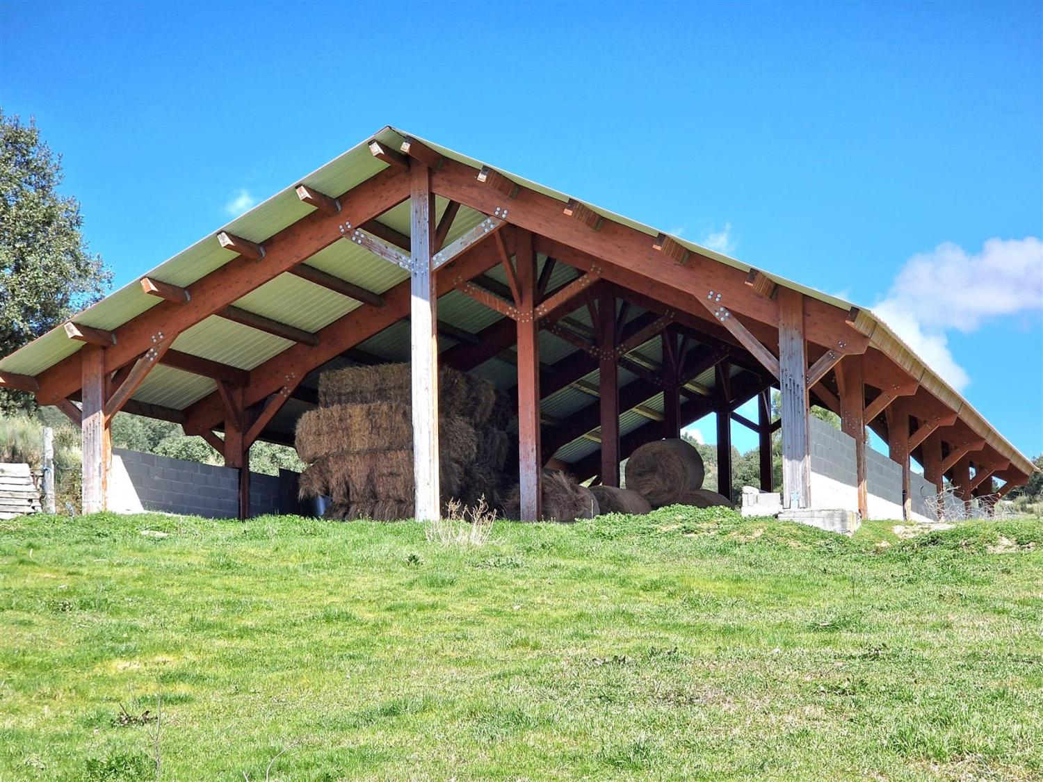  à venda propriedade Celorico da Beira Celorico Da Beira 14
