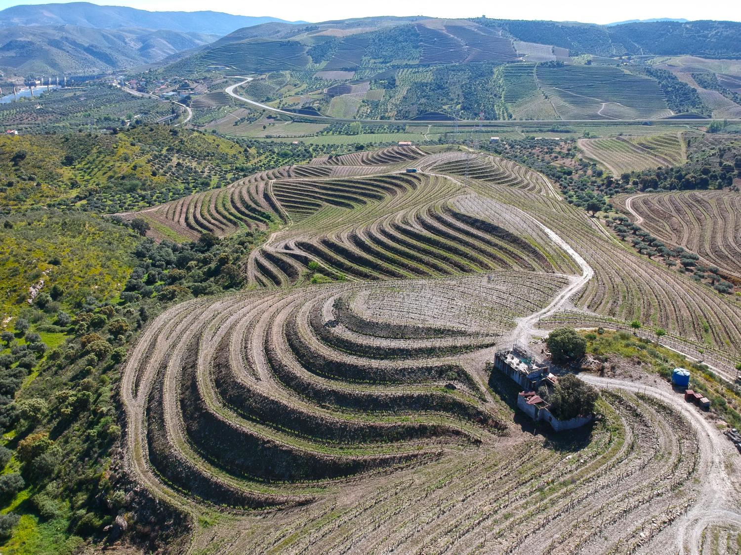  à venda vinha Vila Nova de Foz Côa Vila Nova De Foz Côa 1